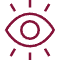 Our Vision Icon